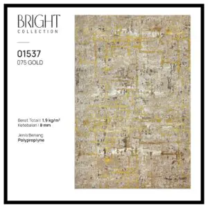 Bright 1537