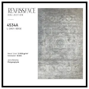 Renaissance-4534