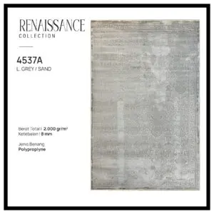 Renaissance-4537
