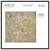 Bright 1537